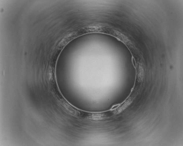 X0000071830758200607141700