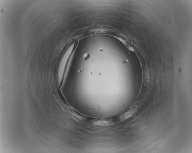 X0000071830759200607141700