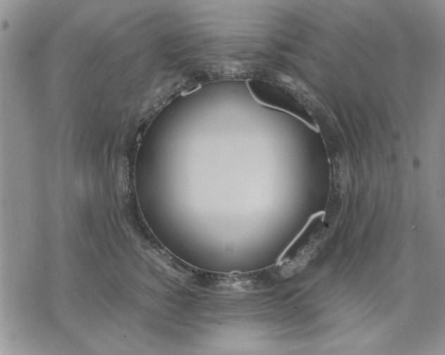 X0000071830760200607141700