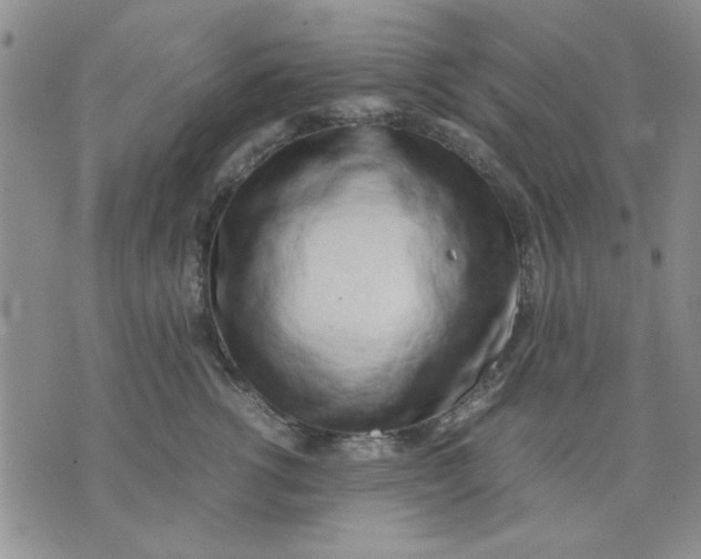 X0000071830762200607141700