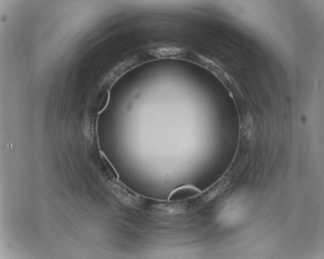 X0000071830763200607141700