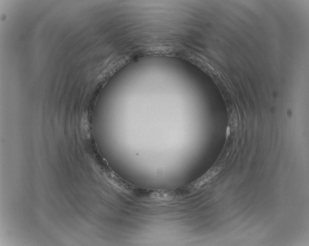 X0000071830764200607141700