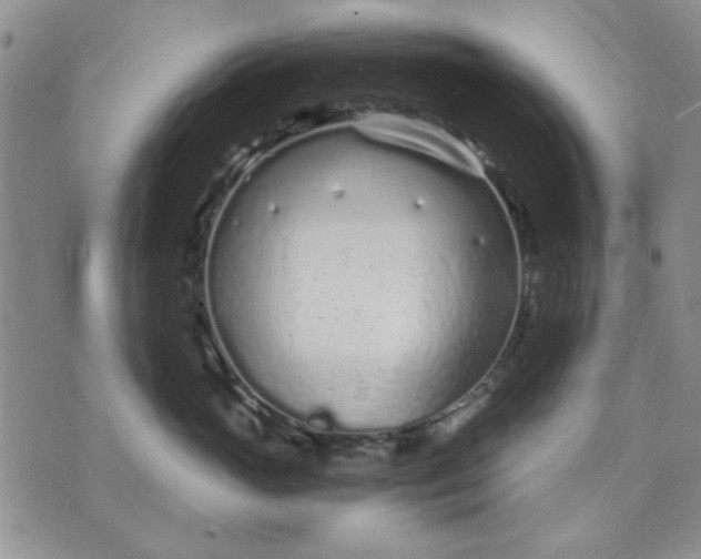 X0000071830765200607141700