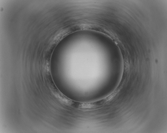 X0000071830766200607141700