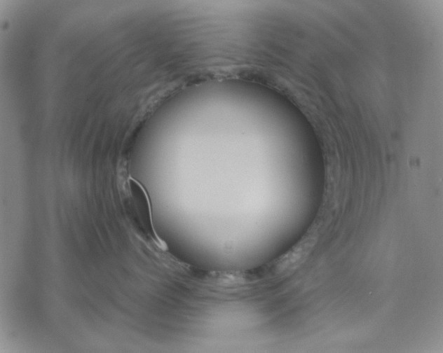 X0000071830768200607141700