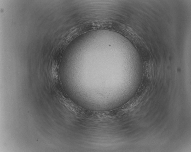 X0000071830770200607141659