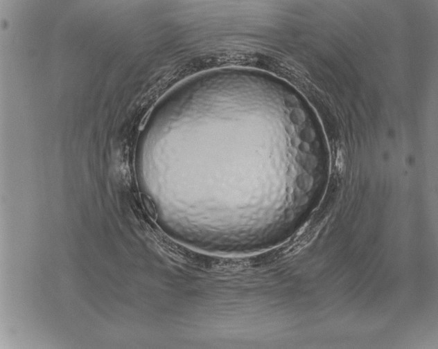 X0000071830771200607141659