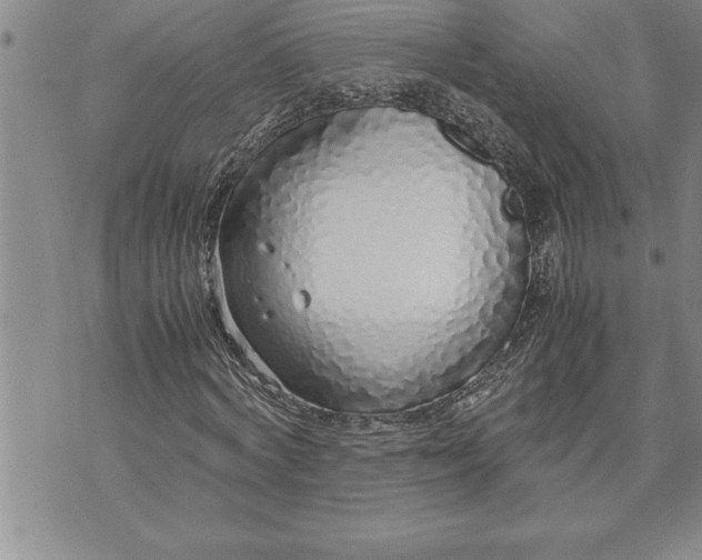 X0000071830772200607141659