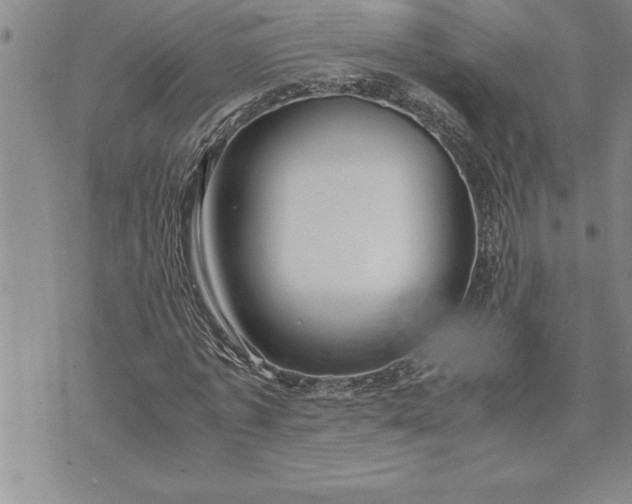 X0000071830773200607141659