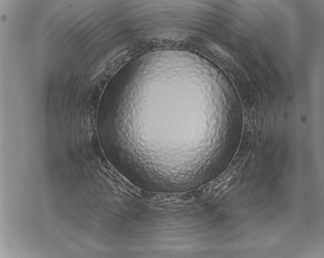 X0000071830774200607141659