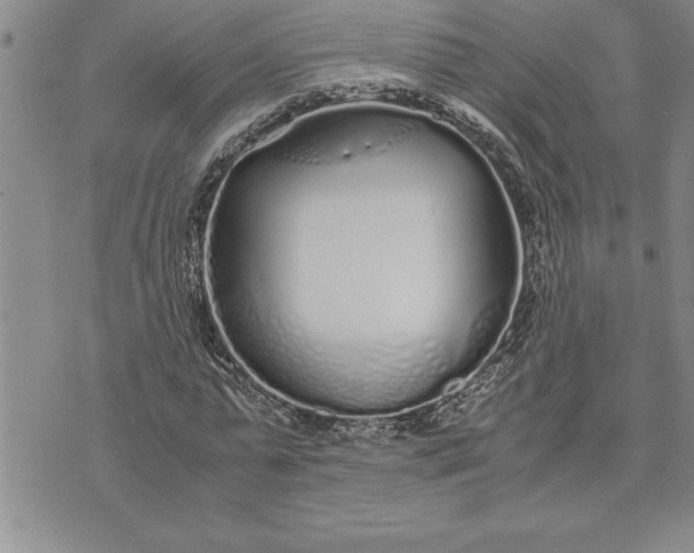 X0000071830775200607141659