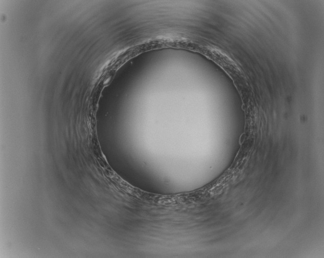 X0000071830776200607141659