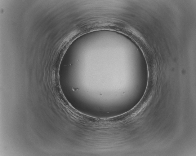 X0000071830777200607141659