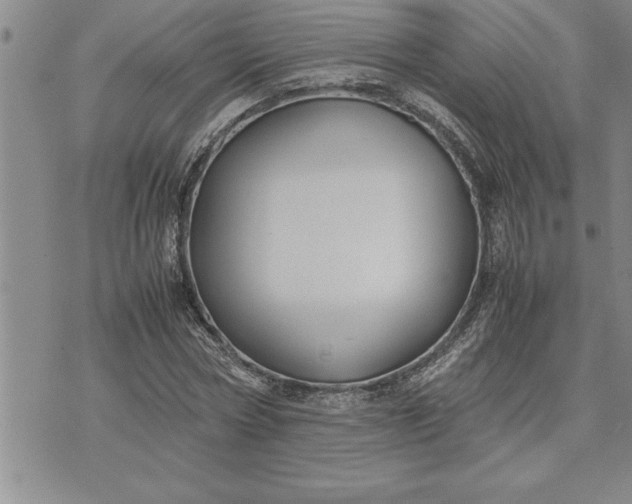 X0000071830778200607141659