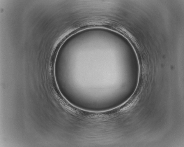 X0000071830779200607141659