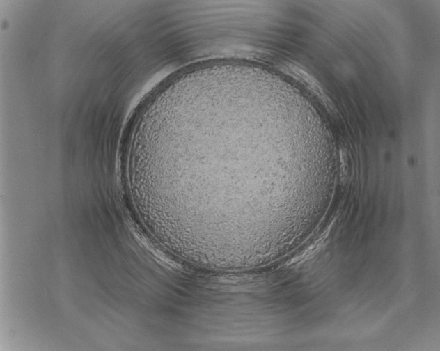 X0000071830780200607141659