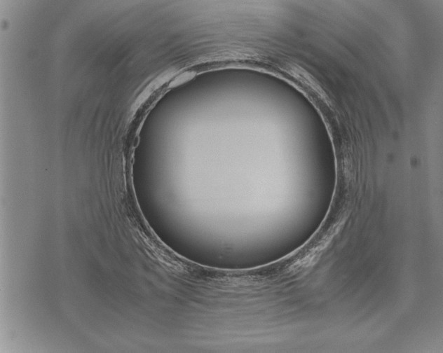 X0000071830781200607141659