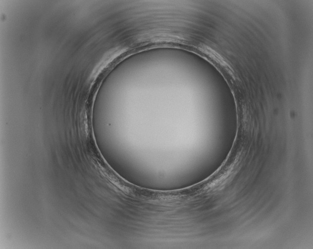 X0000071830782200607141659