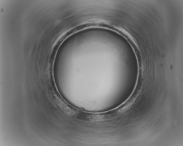 X0000071830783200607141659