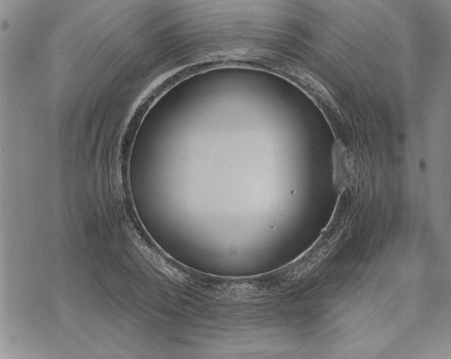 X0000071830784200607141659