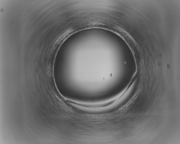 X0000071830785200607141659