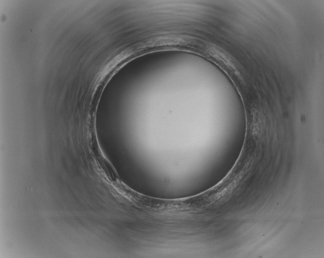 X0000071830786200607141659