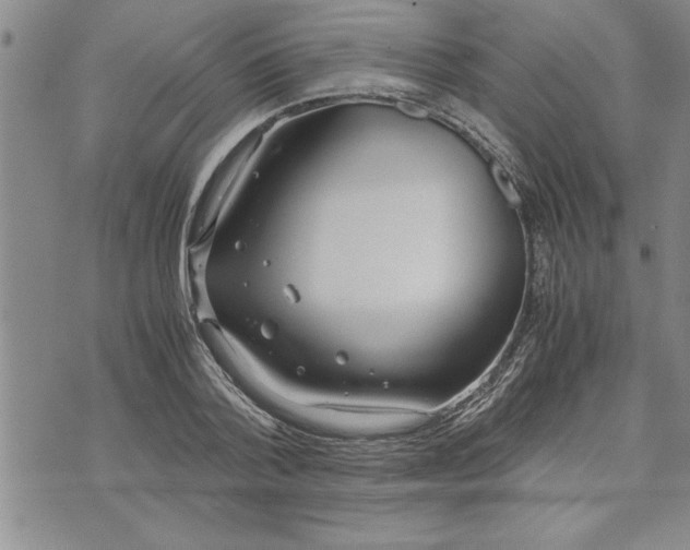 X0000071830788200607141659