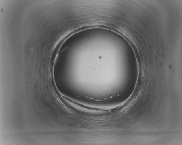 X0000071830789200607141659