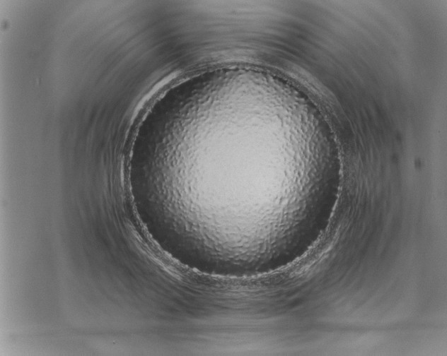 X0000071830790200607141659