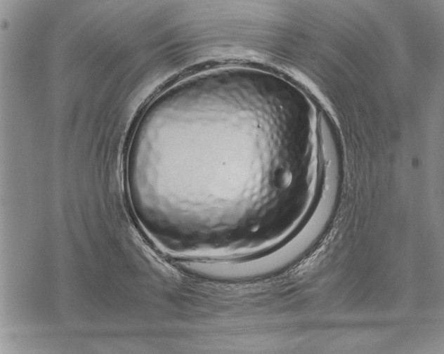 X0000071830791200607141659