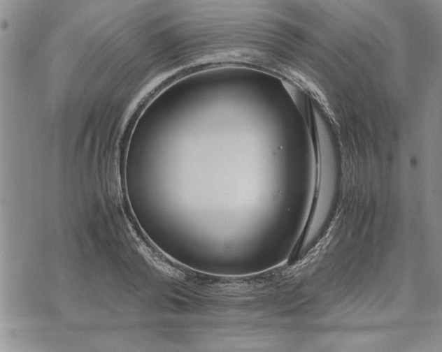 X0000071830792200607141659