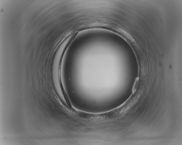 X0000071830793200607141659