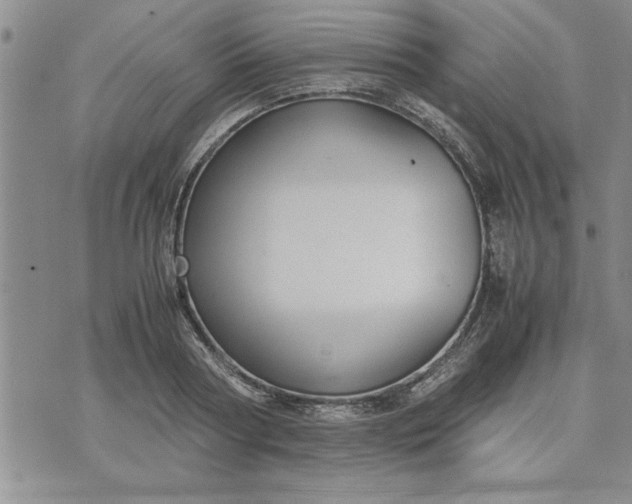 X0000071830794200607141659