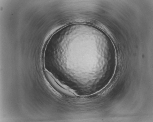 X0000071830795200607141659