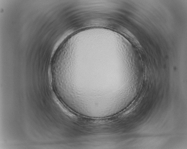 X0000071830796200607141659