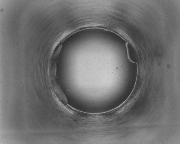 X0000071830797200607141659