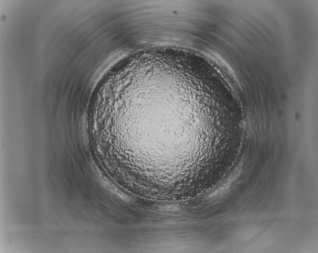 X0000071830798200607141659