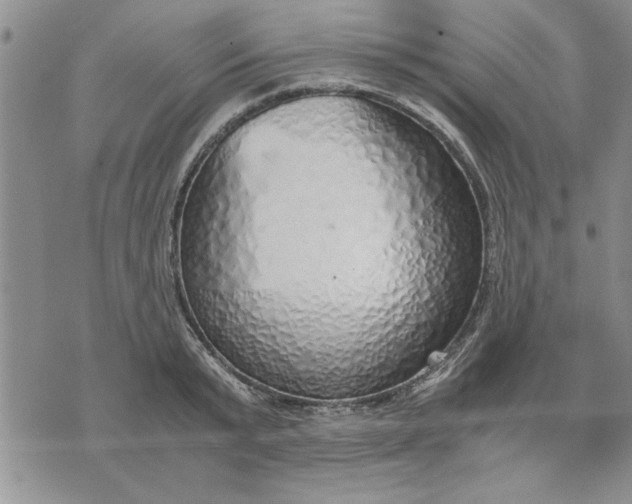 X0000071830799200607141659