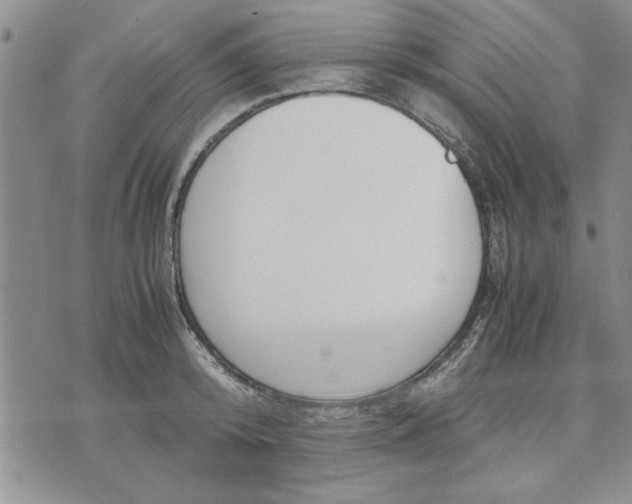 X0000071830800200607141659