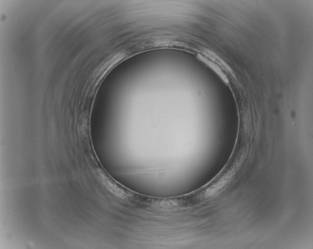 X0000071830801200607141659