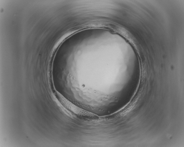 X0000071830803200607141659