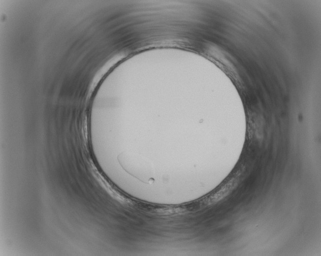 X0000071830804200607141659