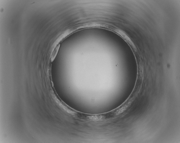 X0000071830805200607141659