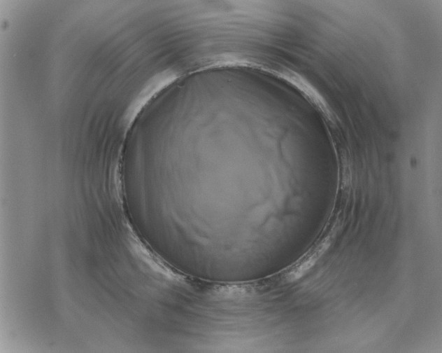 X0000071830806200607141659