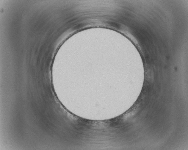 X0000071830807200607141659