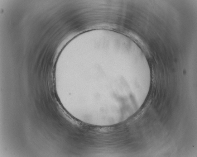 X0000071830808200607141659