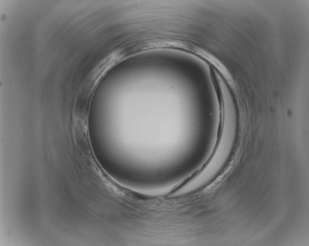 X0000071830809200607141659