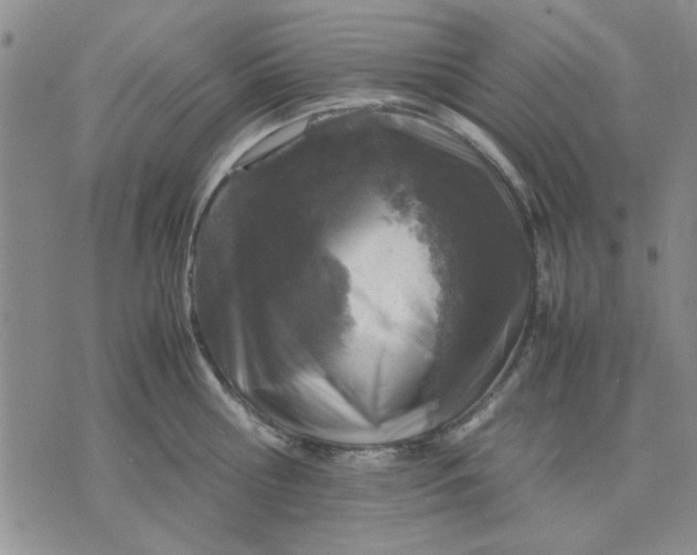 X0000071830810200607141659