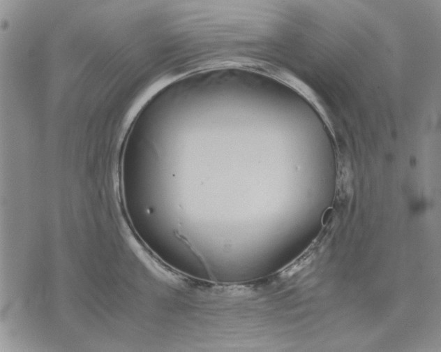 X0000071830811200607141659