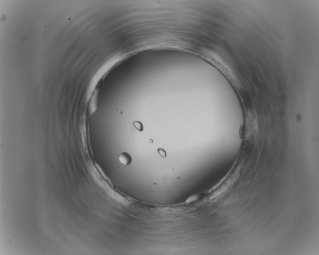 X0000071830812200607141658